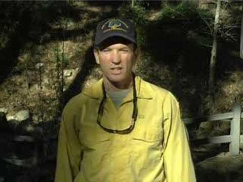 Fire Behavior in the Wildland/Urban Interface