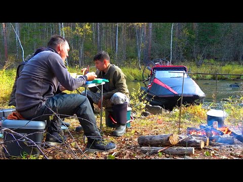ЗАЦЕПЫ ОЖИВАЮТ, НО НЕ ПОДНЯТЬ! В ДИЧАЙШУЮ ДИЧЬ НА АЭРОЛОДКЕ ПО ГОРНОЙ РЕКЕ