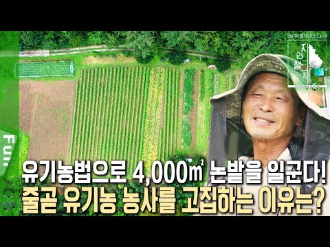 유기농법만 고집하는 농부! 4,000㎡나 되는 논밭에 허리 펼 새가 없다! 약을 치며 풀과 전쟁을 하지 않아도되는 농부의 비법은? [자연의 철학자들 KBS 20221202 방송]