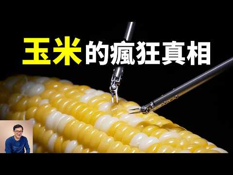 Why do some people say corn is an alien plant? Popcorn may have changed the world!