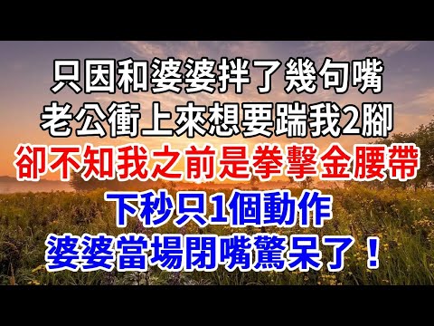 只因和婆婆拌了幾句嘴，老公衝上來想要踹我2腳，卻不知我之前是拳擊金腰帶，下秒只1個動作，婆婆當場閉嘴驚呆了！#爽文#為人處世 #正能量 #故事分享 #生活經驗 #情感