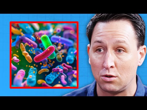 The SURPRISING LINK Between Insulin Resistance and the MICROBIOME | Dr. Will Bulsiewicz