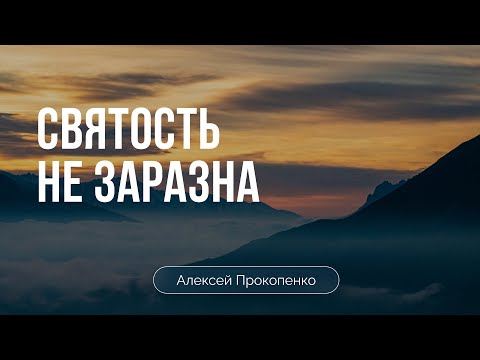 Святость не заразна | Алексей Прокопенко