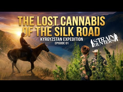 Strain Hunters | Kyrgyzstan Expedition - Episode 1