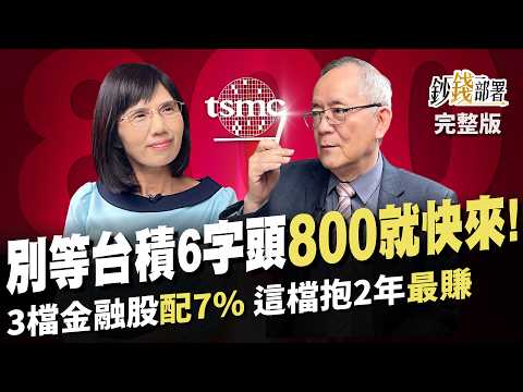 別等台積電6字頭 8字頭不遠了 卡位快上車! 這3檔金融股配7% 抱2年最賺就是它!《鈔錢部署》盧燕俐 ft.李永年 20240305
