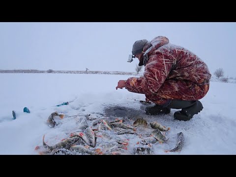 ЭТО СОН. ГОРА РЫБЫ С ОДНОЙ ЛУНКИ. Первый лед, завалило снегом. Зимняя рыбалка со льда на окуня.