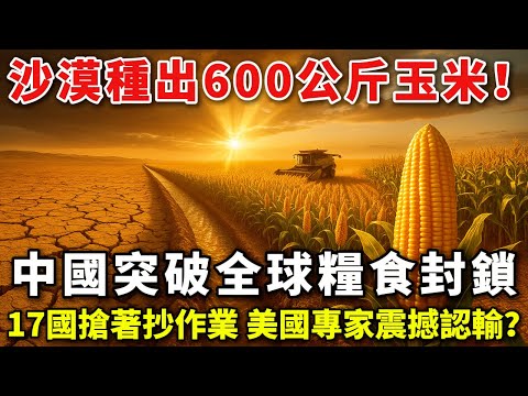 沙漠種出600公斤玉米！中國突破全球糧食封鎖，17國搶著抄作業，美國專家震撼認輸？