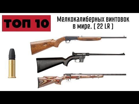 Топ 10 мелкашек в мире. .22LR Мелкокалиберные винтовки мира.