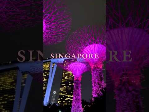 BLACKPINK WORLD TOUR [DEADLINE] IN SINGAPORE 🌸 #BLACKPINK #WORLDTOUR #DEADLINE_IN_SINGAPORE