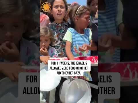 Greta Thunberg, other activists detained on aid ship headed to Gaza #shorts