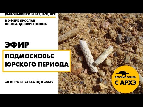 Детский эфир «Подмосковье юрского периода» в рамках рубрики «Динозаврики и все, все, все»