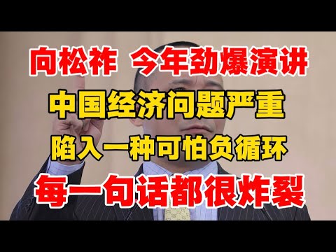 【向松祚 今年劲爆演讲】中国经济问题严重,陷入一种可怕负循环,每一句话都很炸裂!
