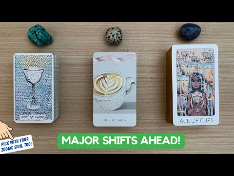 Quarter 1: What Does It Hold For You?