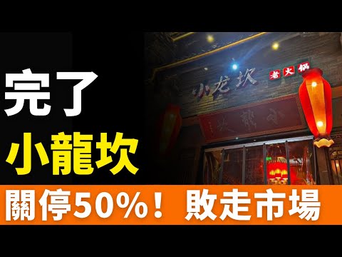 完了！小龍坎！閉店400家！網紅火鍋店出事了！剩菜回收，二次銷售！拖把桶洗餐具！過期調料制高端湯！總部假意整改，道歉成癮！循環火鍋，迴圈作惡！倒在黎明前！