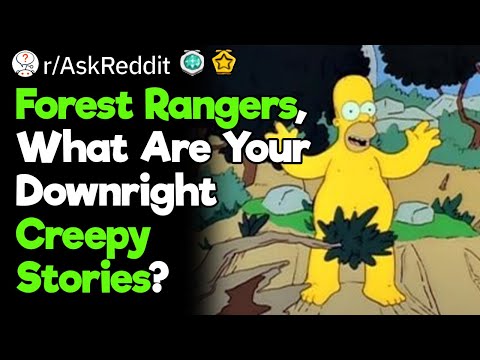 Unexplainable Stuff That Happens in the Woods