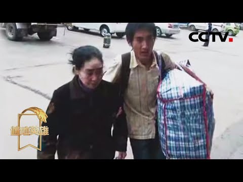 《遍地英雄》刘秀祥：带着病母上学的山里娃 20200217 | CCTV农业