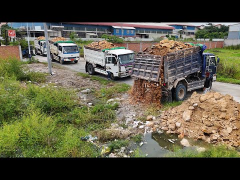 Luxury Project! Huge Size Flooded Soils Was Deleting by Dump Truck 5ton & Dozer Pushing