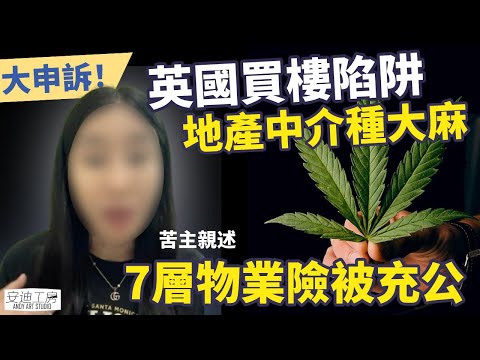 【🇬🇧英國買樓陷阱】地產中介種大麻🪴7層物業險被充公