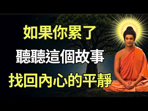 睡前佛法故事 | 業障與福報的真相：你不是你的過去，隨緣放下，活在當下。 #佛教智慧 #佛教 #禪心之道 #佛家 #佛學 #佛法 #佛陀 #佛學智慧 #buddha #放下