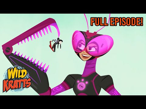 Praying Mantis | Season 3 | Full Episode | Wild Kratts