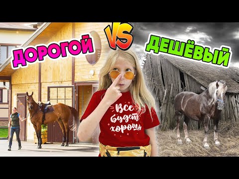 ДОРОГОЙ vs ДЕШЕВЫЙ КОННЫЙ КЛУБ! ЧТО ВЫБЕРЕТ МИЛАНА?