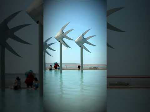 🇦🇺 Australia THE WILD OUTBACK