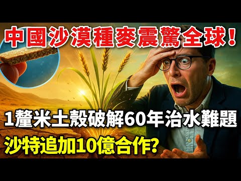 中國沙漠種麥震驚全球！一釐米土殼破解60年治水難題，沙特追加10億合作？