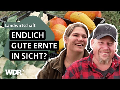 Drei Jahre harte Arbeit – kommt die Kehrtwende auf dem Biohof? | Unsere eigene Farm | E03 | WDR