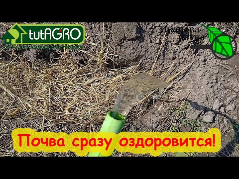 ОБЕЗЗАРАЖИВАНИЕ, ОБЕЗВРЕЖИВАНИЕ и ДЕЗИНФЕКЦИЯ ПОЧВЫ ПОСЛЕ БОЛЕЗНЕЙ БИОТРАНШЕЙНЫМ МЕТОДОМ.