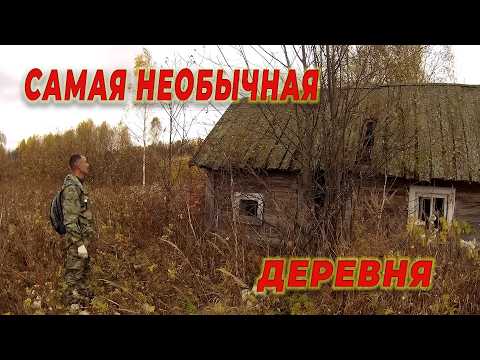 самая необычная заброшенная деревня, странные находки, животные которые не боятся людей