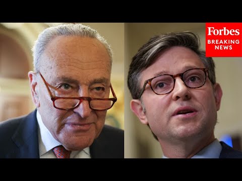 'He Wants To Reinstate Free Healthcare For Illegal Aliens': Johnson Shreds Schumer's Budget Requests