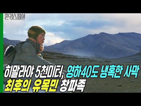 영하 40도 히말라야 5천미터 냉혹한 사막을 지키는 지구 최후의 유목민 창파족 [KBS파노라마-히말라야인 3편 천상의 길, 창탕] / KBS 20140418 방송