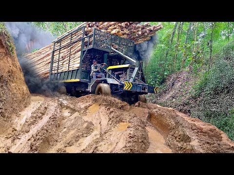 Riding Powerful Truck Transporting Tons of Trees in Muddy Forest