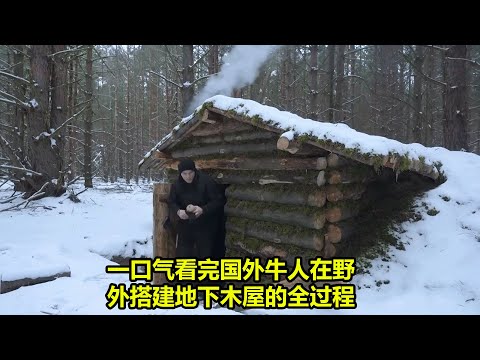 一口气看完国外牛人在野外搭建地下木屋的全过程 | 在野外生存