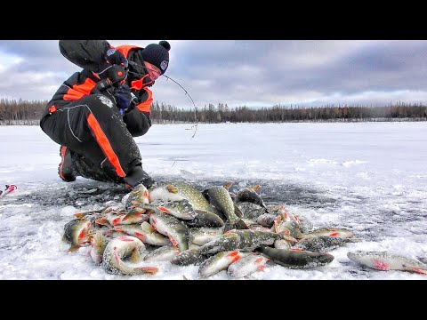 БЕЗУМИЕ НАЧИНАЕТСЯ😱!!! ПЕРВЫЙ ЛЁД 2025-2026г.