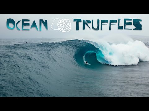Ocean Truffles - Featuring Darian Cheffers