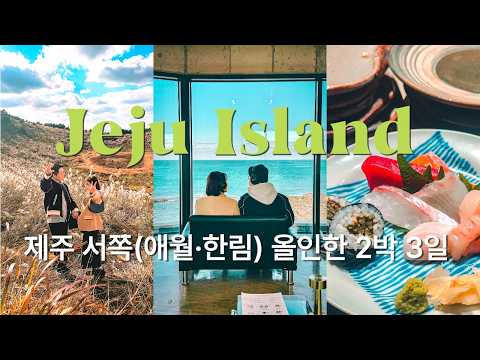 애월·한림에 일정 올인🍊｜제주 북서쪽 2박 3일 맛탐방 브이로그 (결혼기념일)