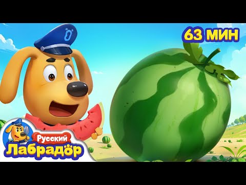 🍉У меня в животе растет арбуз | Правила Безопасности | 🔍Сборник мультиков для детей | Шериф Лабрадор