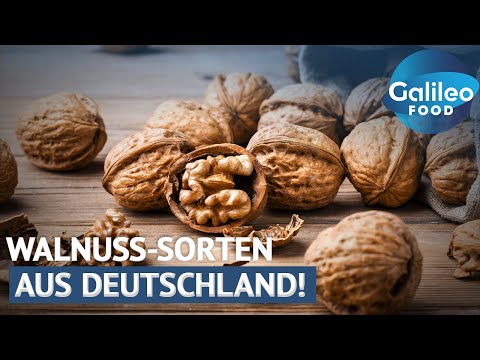 Made in Germany: Schmecken diese neuen Walnüsse besser als die aus Kalifornien? | Galileo Food