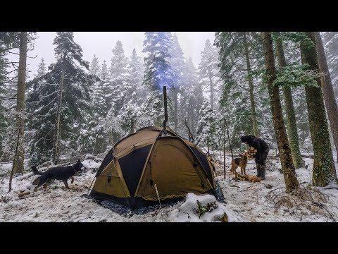 Extreme Winter Camping in a Foggy Snowy Forest | Warm Tent with My Dogs