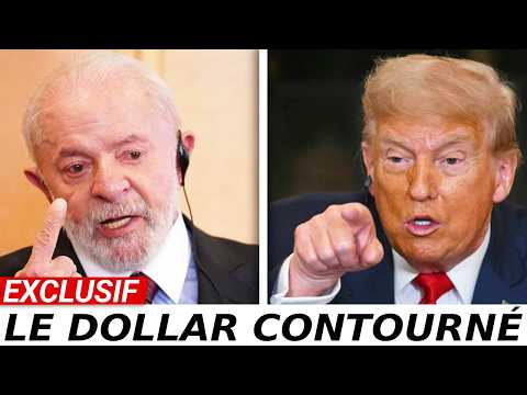 Comment l’accord Canada Brésil affaiblit le levi