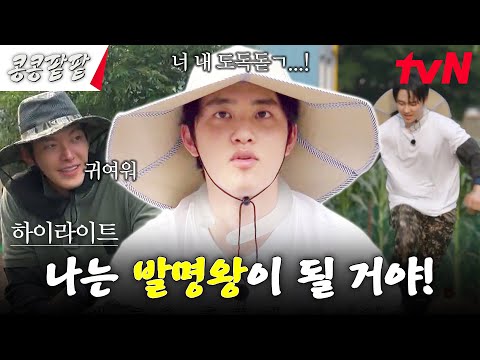 극한의 효율러 ENTJ 도경수의 발명왕 도전기 (특이점: 약간의 하자 有) #highlight #콩콩팥팥 #콩심은데콩나고팥심은데팥난다 EP.2