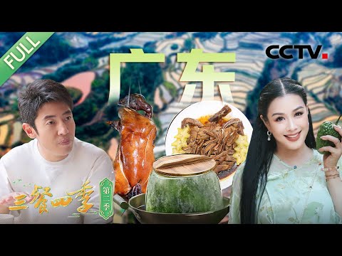 【Full】古井烧鹅 冬瓜盅 沙虫粥 食惯嘴 杨桃鸭 三辣酱炒蟹 豆豉炒凉瓜 爆炒脆肉罗非鱼…… 撒贝宁、钟丽缇、俞灏明等带你寻味广东！| CCTV「三餐四季 第二季」第10期 20250511
