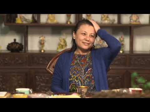 停下攀緣心就可以看到大海#子歸家#楊寧老師