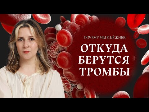 Тромб оторвался: как сделать так, чтобы этого не случилось | Почему мы еще живы