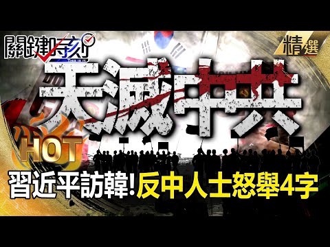 South Koreans have had enough of China, holding up signs that say "Heaven will destroy the CCP!"?!