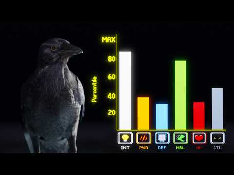 Are Crows Overpowered?