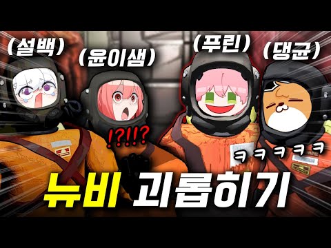 고인물은 리액션 맛있는 뉴비 놀릴 때가 가장 행복합니다 ㅋㅋㅋ