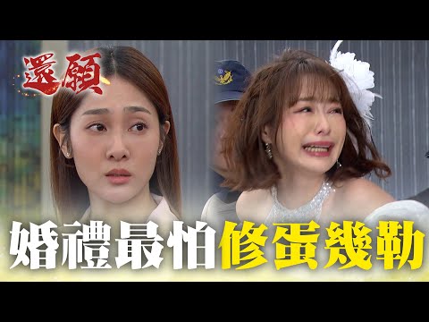每場婚禮最怕的就是「修蛋幾勒」！報應直接來臨！｜#願望 EP223｜三立台劇