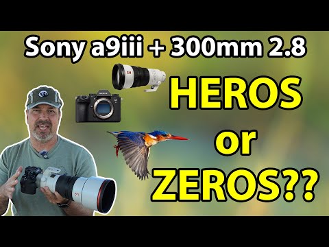 Sony a9iii Wildlife & Bird Photography Field Review & Sony 300 2.8 Review (Initial Impressions)